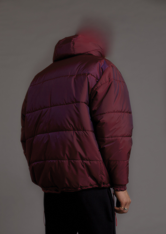 Polar 1