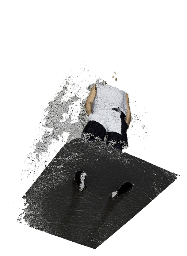 Polar 1